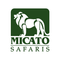 Micato Logo Template-1